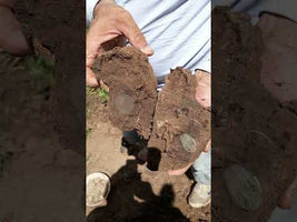 OKM Evolution NTX OKM Evolution NTX