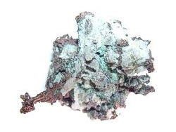 Copper located with Rover Deluxe